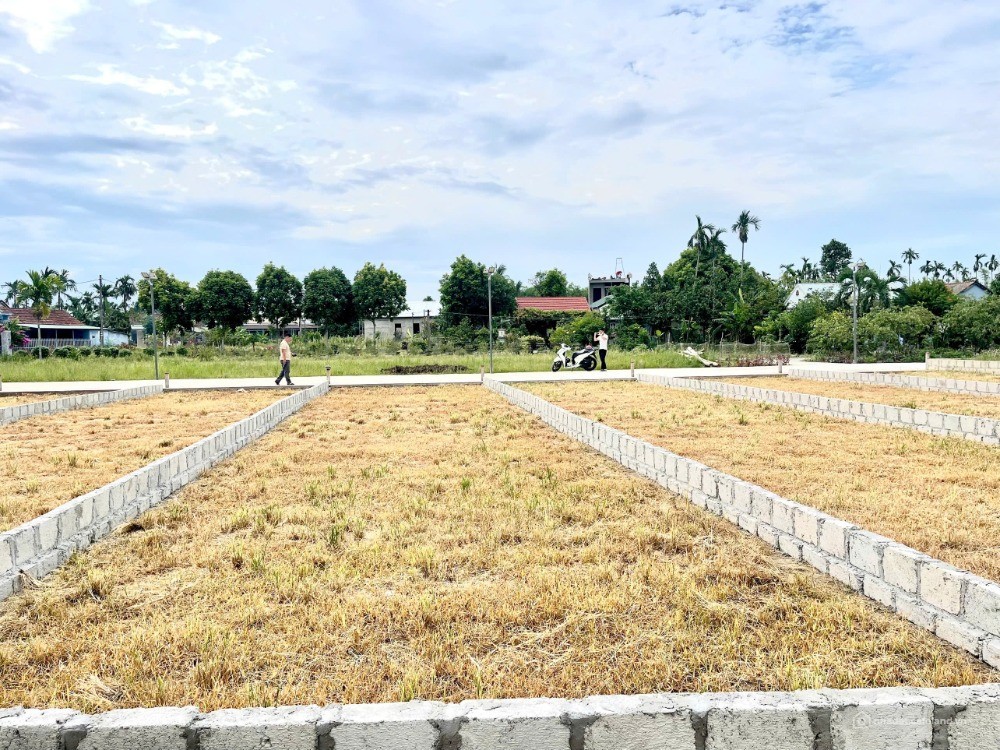 540 TRIỆU – SỞ HỮU 130M² ĐẤT ĐƯỜNG 7M TẠI KIM TRÀ? - Ảnh 1