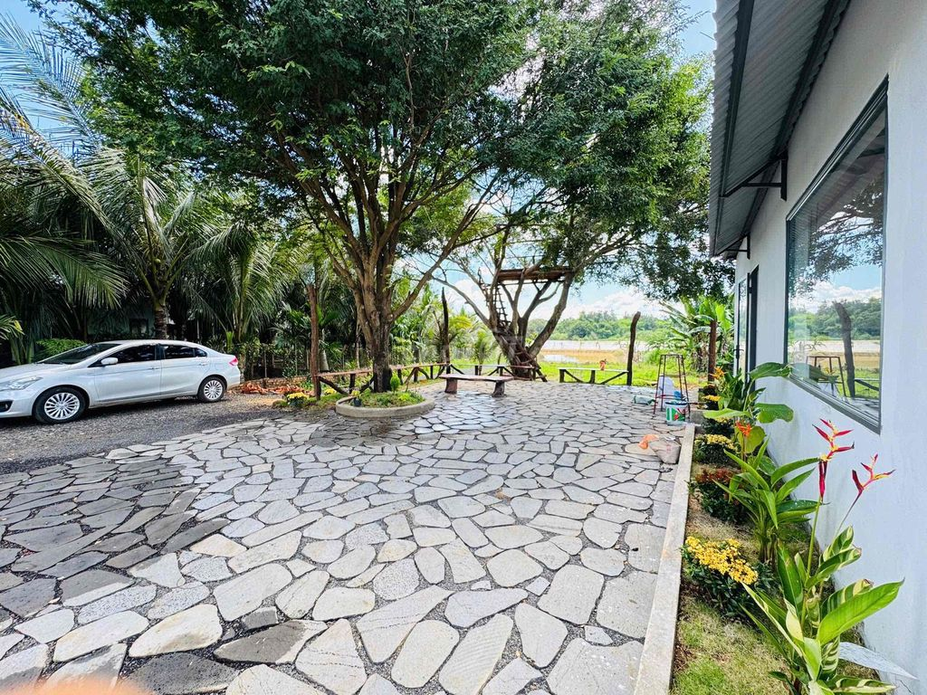 nhà vườn thổ cư full view mặt sông serepok cách ngã sáu BMT 23km - Ảnh 4