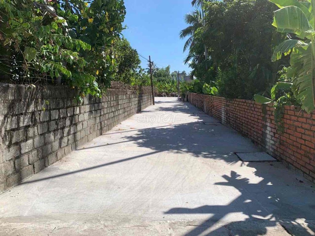 700 m2/ full thổ cư/ An Thọ, An Lão - Ảnh 1