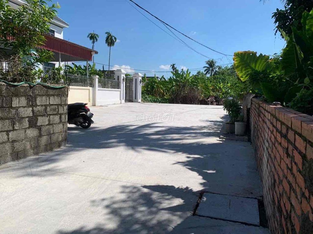 700 m2/ full thổ cư/ An Thọ, An Lão - Ảnh 3