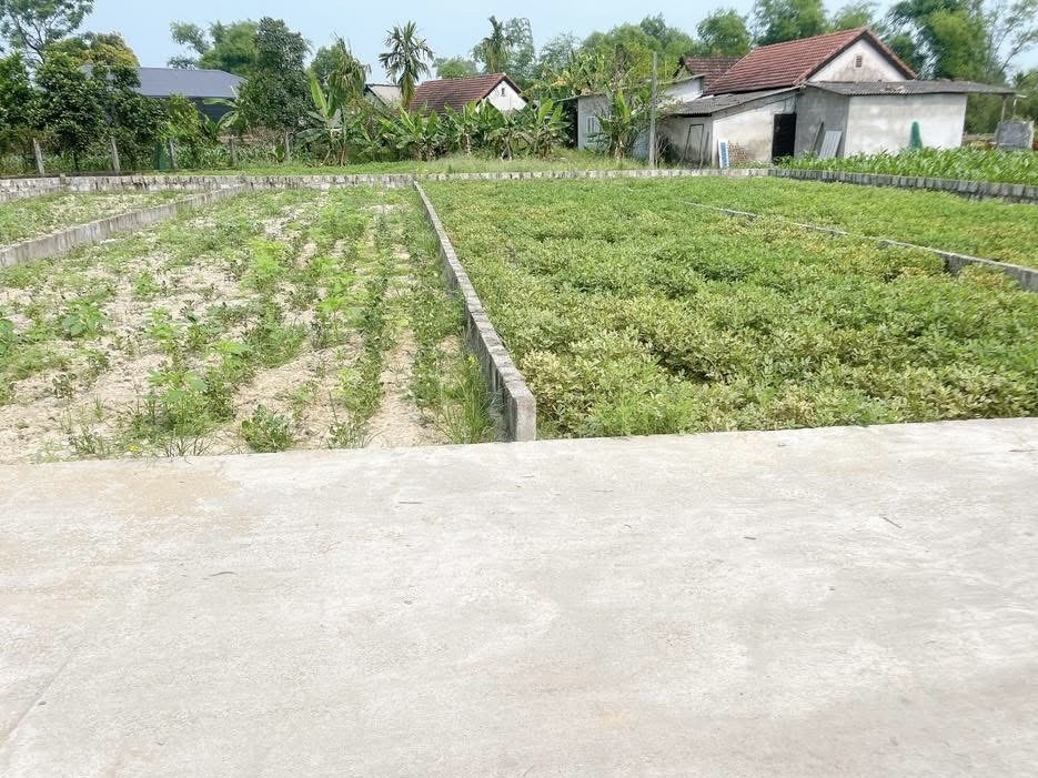 bán Đất 112.5m2 có sẵn 80 m2 thổ cư giá 450 triệu tại Đường Phan Đình Tuyển - Chọn - Phường Hương Trà Thừa Thiên Huế