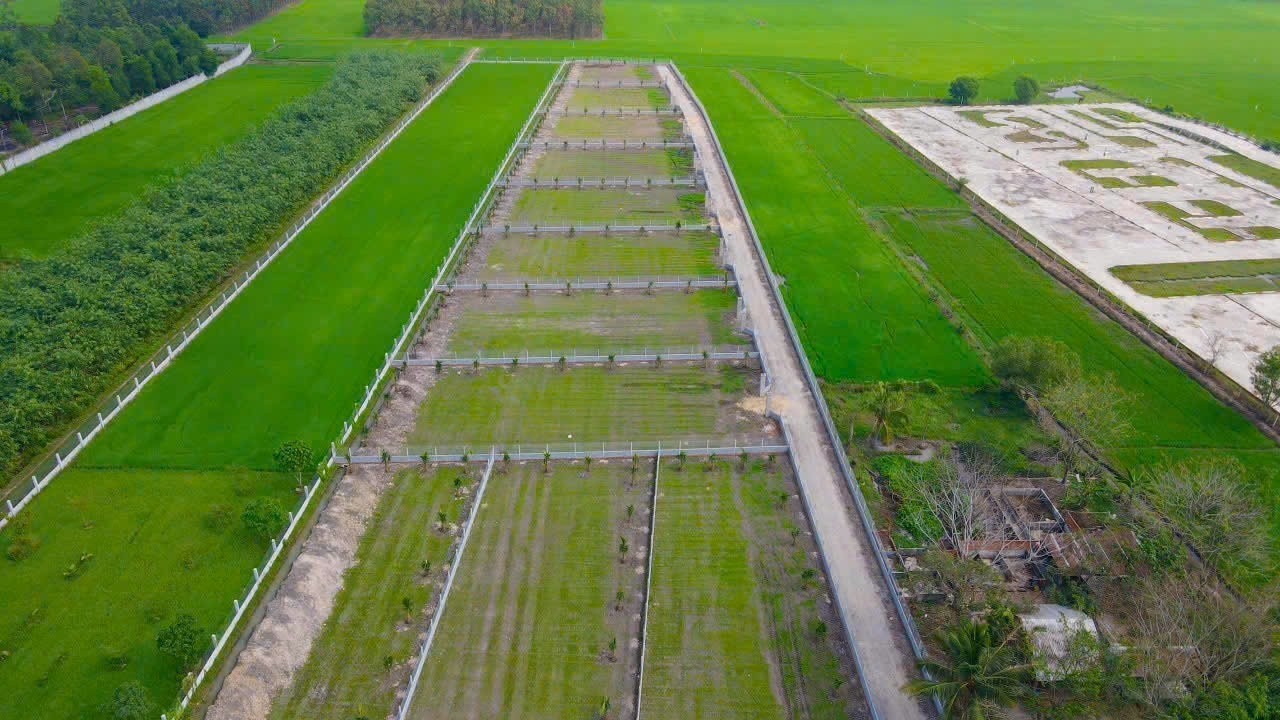 Giá Bán: 950 Triệu Sở Hữu Ngay đất Vườn Tại Gò Dầu, Tây Ninh Với 1000m2, Sẵn Thổ Cư 100m2 !! - Ảnh 2