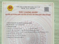 Chính chủ cần bán lô đất Xã Nam Cửa Việt, Quảng Trị mới - Ảnh 2