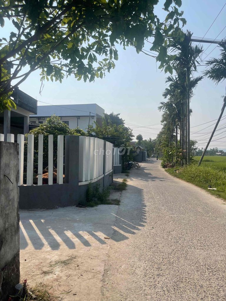 CHÍNH CHỦ CẦN TIỀN BÁN ĐẤT HOÀ XUÂN GIÁ RẺ - Ảnh 2