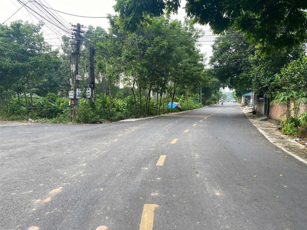 CHÍNH CHỦ CẦN TIỀN – BÁN LỖ ĐẤT THANH ĐÌNH, VIỆT TRÌ - Ảnh 2