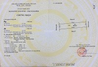 Chủ nhà cần bán gấp Biệt thự hơn 400m2 mặt đường Trần Hưng Đạo NB gần phố cổ Hoa Lư. Giá chỉ 45 tỷ - Ảnh 3