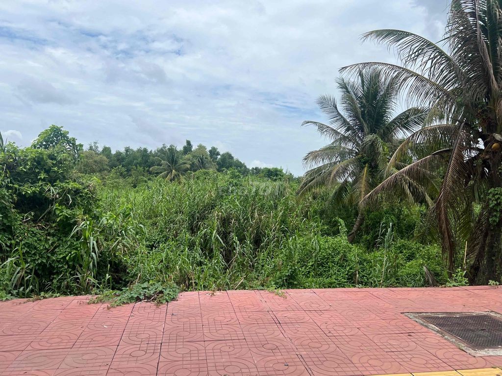 Ngân hàng thanh lý lô đất full thổ cư mặt tiền đường Võ Văn Kiệt - Ảnh 3