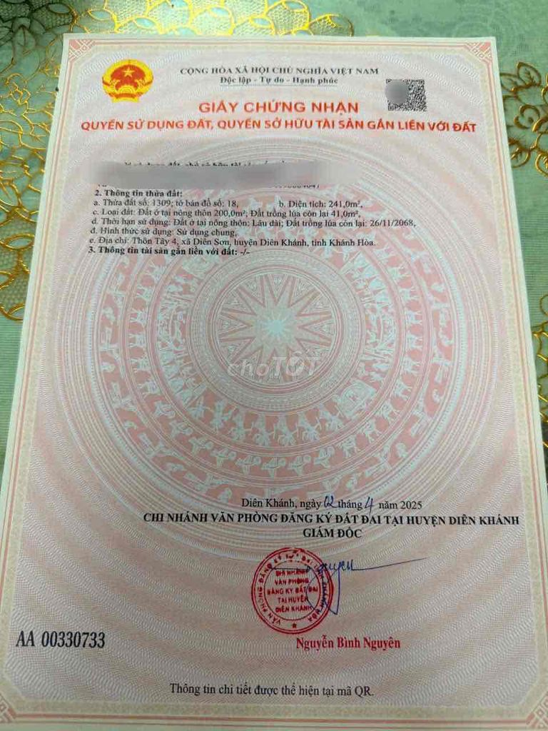 bán đất khánh hòa mới - Ảnh 1