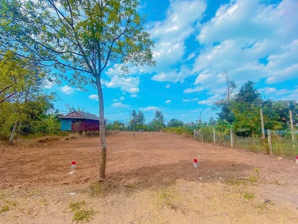🏡 ĐẤT HẺM ĐÀO DUY TỪ – 3 LÔ LIỀN KỀ - Ảnh 1