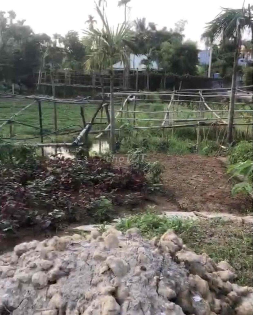 Đất 465m2 ngang 15m trục Kiều Đông, Hồng Thái hơn 500 triệu - Ảnh 1