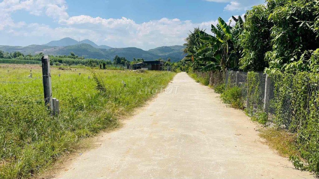 Đất Diên Thọ Khánh Hoà đường lớn đẹp hơn trăm m2 chỉ tiền trăm - Ảnh 1
