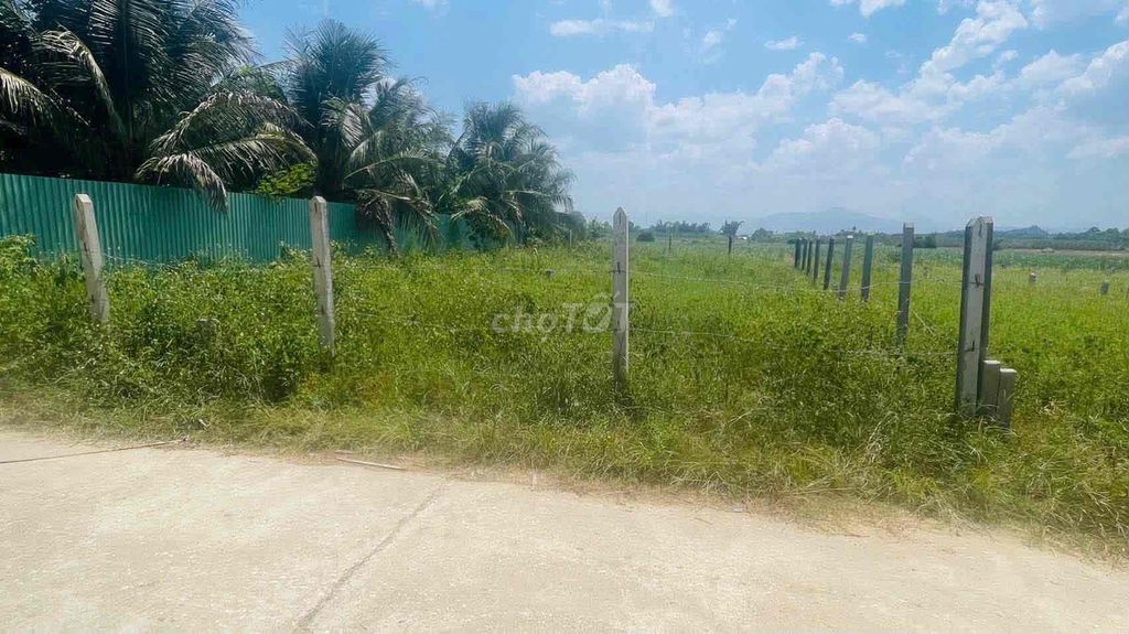 Đất Diên Thọ Khánh Hoà đường lớn đẹp hơn trăm m2 chỉ tiền trăm - Ảnh 4