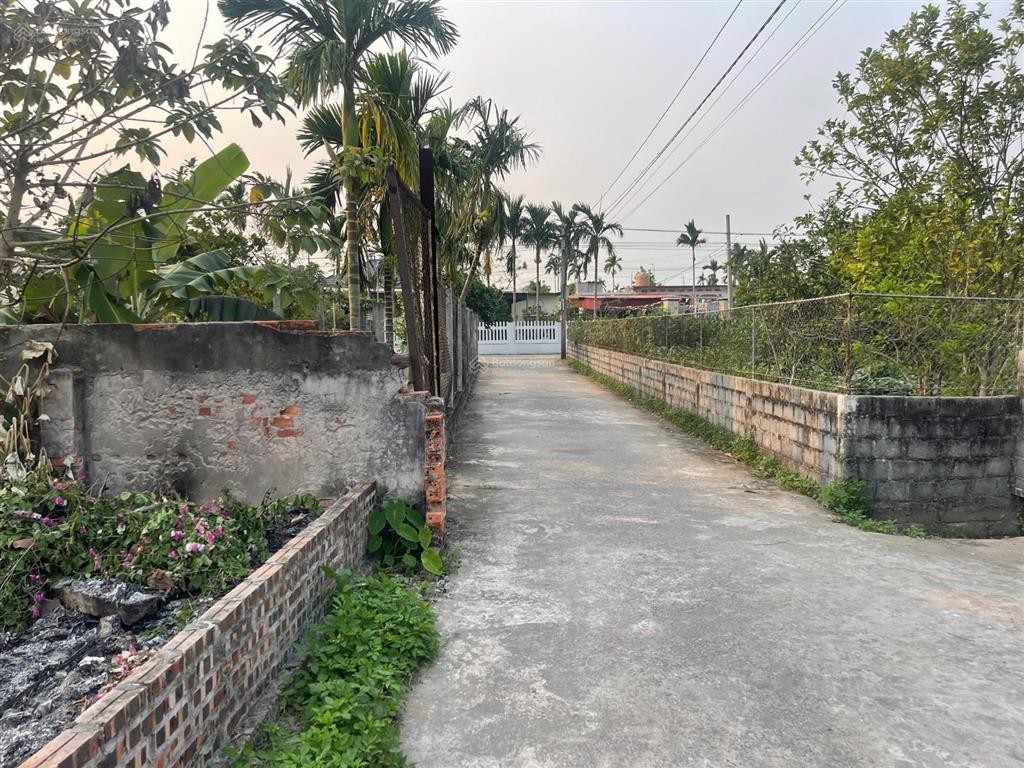 Lô đất thái thịnh thái thụy thái bình đường ô tô tránh nhau gần ủy ban trường học vài - Ảnh 1