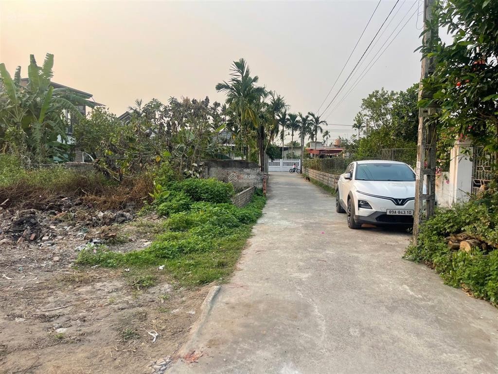 Lô đất thái thịnh thái thụy thái bình đường ô tô tránh nhau gần ủy ban trường học vài - Ảnh 3