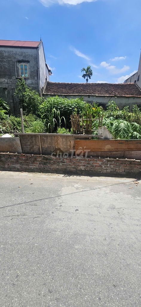 🌈 🌈 Hoa Hậu 55m2 Bến Trung, Đường Lớn 6m Ô Tô Tránh, Kinh Doanh - Ảnh 2