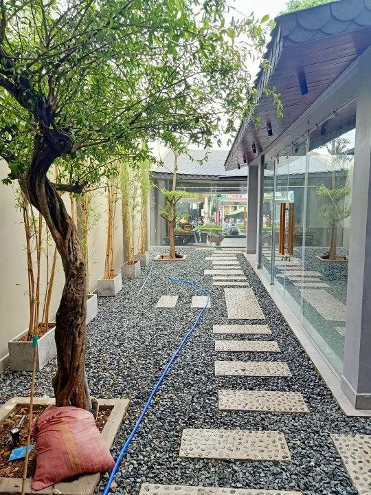 Bán rẻ showroom MT Trần Hưng Đạo, sát chợ đêm Phú Quốc giá chỉ 70% thị trường - Ảnh 6