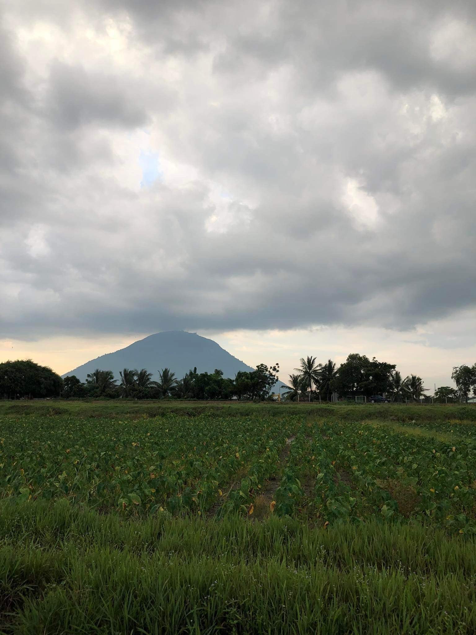 Bán 4.000m2 đất gần cầu K13, phường Ninh Thạnh, view Núi Bà Đen, giá 2.2tỷ - Ảnh 1