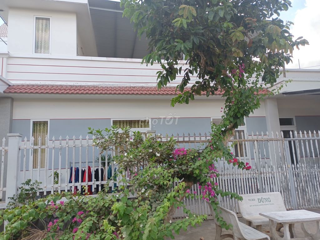 NHÀ CHO THUÊ NGUYÊN CĂN CHÍNH CHỦ - Ảnh 1