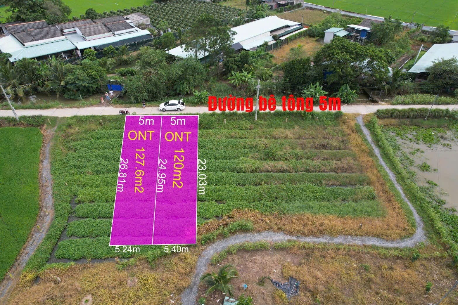 Bấn đất sát bên ngã tư lạc tấn ngần chợ trường học giá 350tr (rẻ nhất khu vực) - Ảnh 8