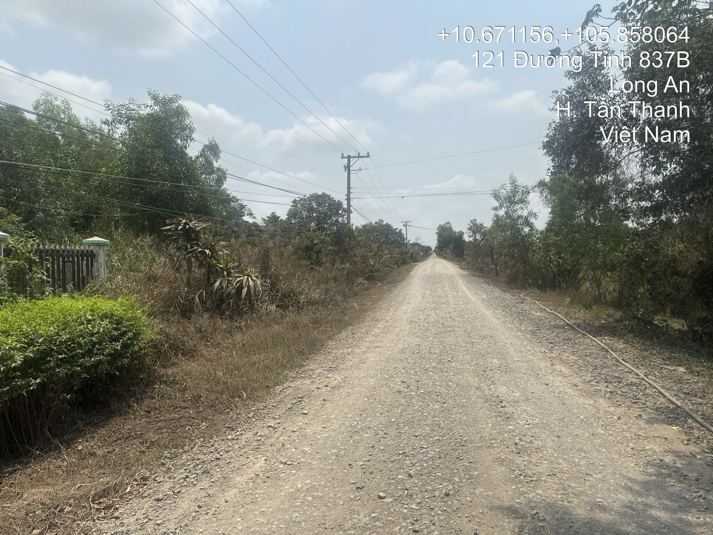 Bán Nhà riêng, diện tích 1600m2 (full thổ cư) giá 3.7 tỷ tại Đường Tỉnh 837 Xã Hậu Thạnh Tây Huyện Tân Thạnh Long An - Ảnh 6