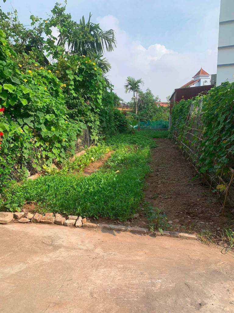 Chính chủ bán lô đất thôn Quán Trạch, Văn Giang Hưng Yên, vị trí đẹp giá chỉ 4.05 tỷ - Ảnh 1