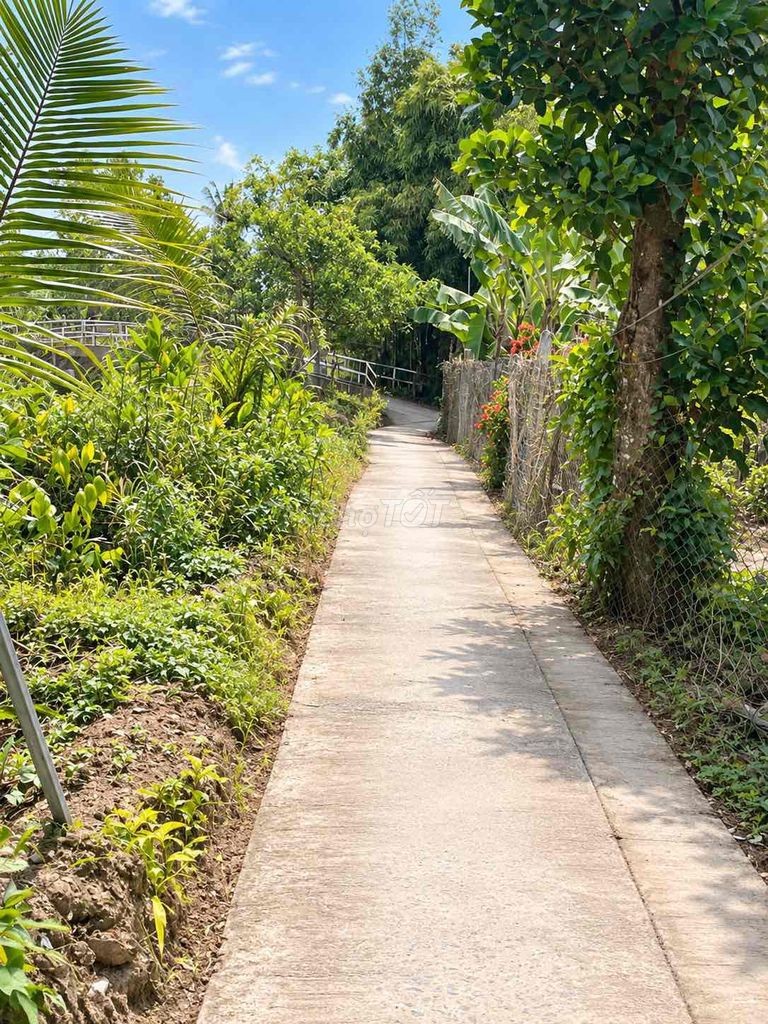 🔥 300M² ĐẤT SỔ RIÊNG – 100M² ĐẤT Ở ĐÔ THỊ – GIÁ CHỈ 690 TRIỆU