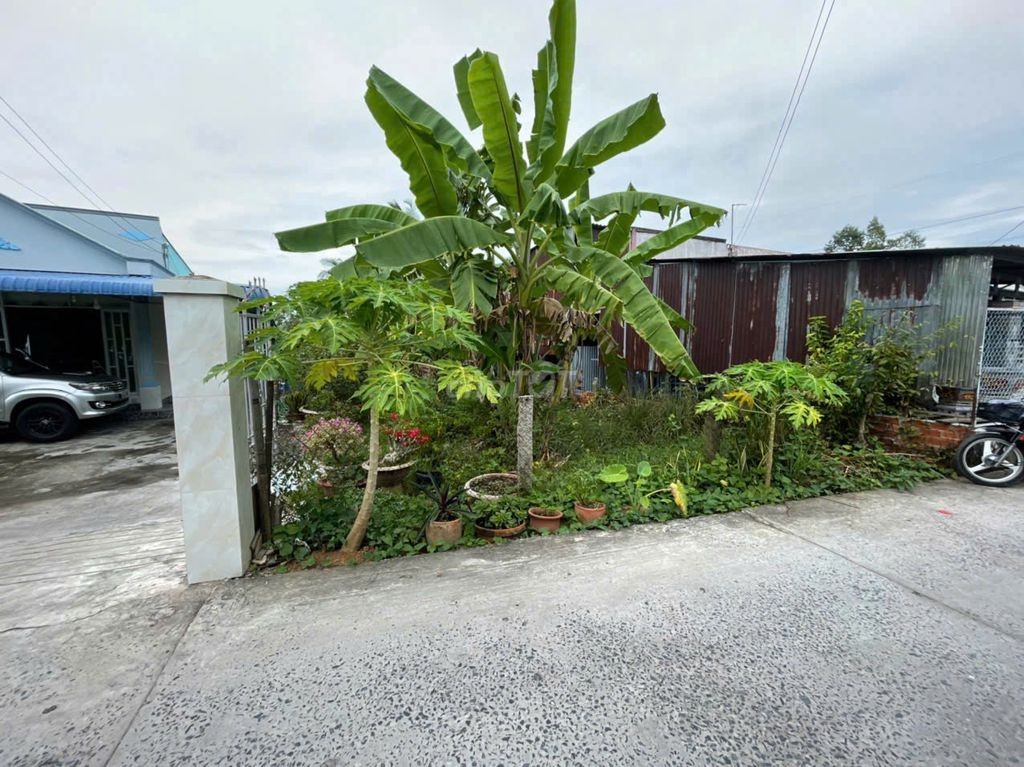 Bán đất 480m², ngang 7m, có 200m² thổ cư – gần QL80, Đồng Tháp - Ảnh 2