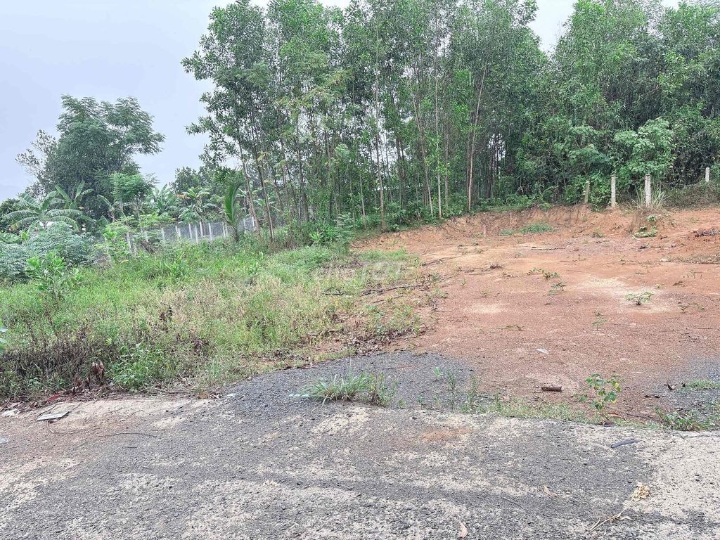chào bán lô đất xp đường bê tông 5m - Ảnh 2