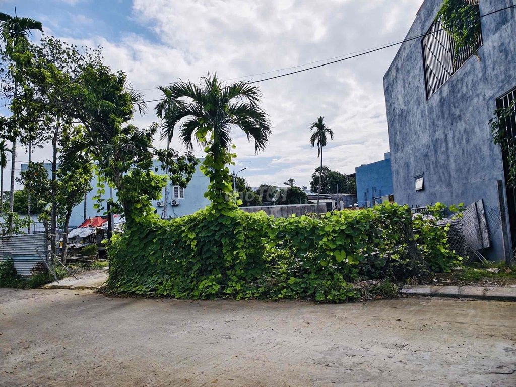 Hàng hiếm đất 99M², 2 mặt tiền đường 7.5m Nguyễn Như Đỗ kẹp kiệt 4m - Ảnh 1