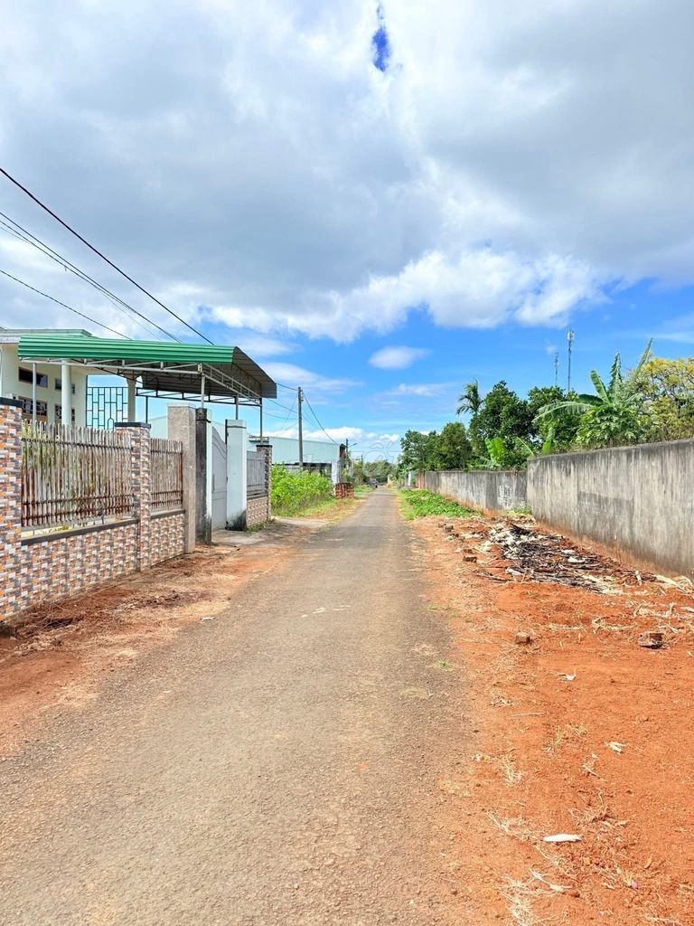 Đất hẻm 126 Lê Chân, pleiku, gia lai - Ảnh 3