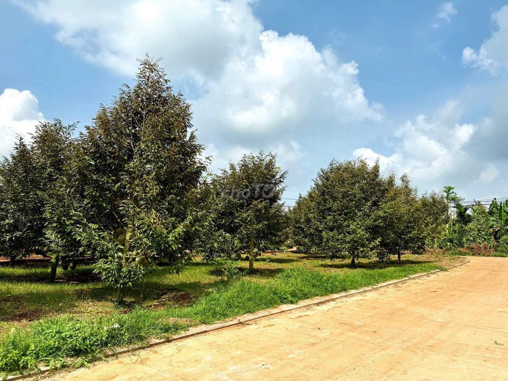 🔥 EA KTUR – 212M² – NGANG 5M – 125M² ĐẤT Ở – CHỈ 500 TRIỆU