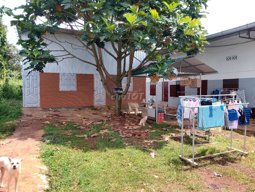 lô đất cần bán - Ảnh 1