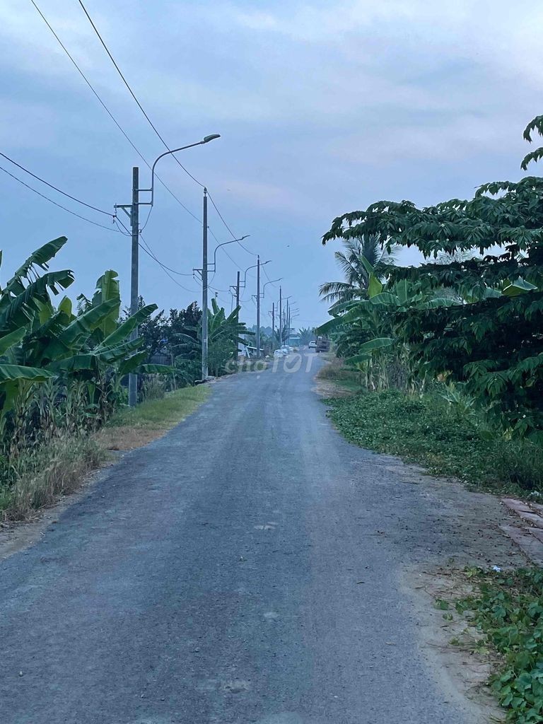 Bán Đất Vườn Mặt Tiền Đường, Gần Chợ - Ảnh 4