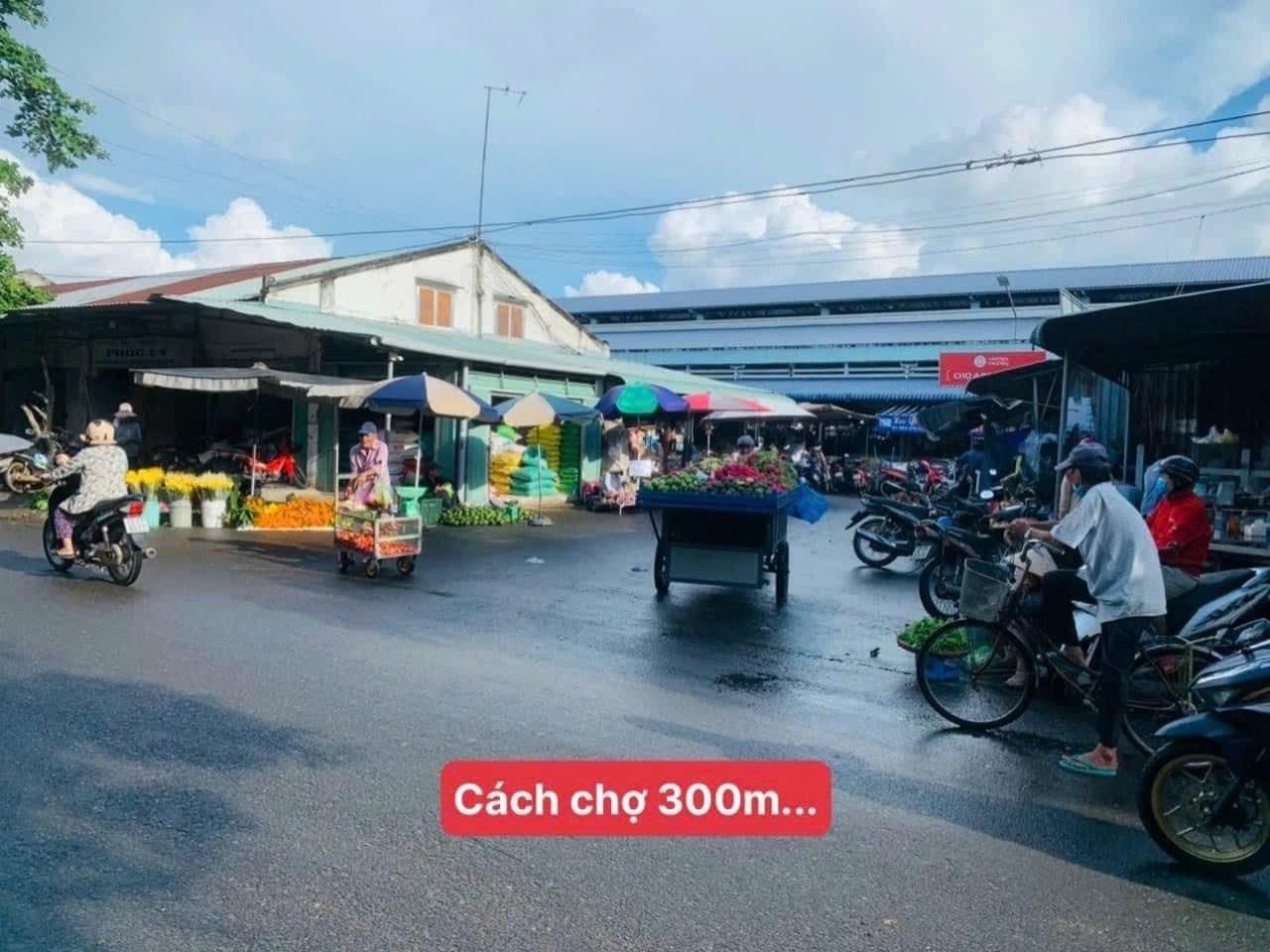 O931.783.2O9 CẦN BÁN GẤP 1010M2 ĐẤT SỔ RIÊNG NGAY KCN ĐANG H.ĐỘNG CÓ CHỢ TRƯỜNG HỌC DÂN ĐÔNG. GIÁ 430TR - Ảnh 4