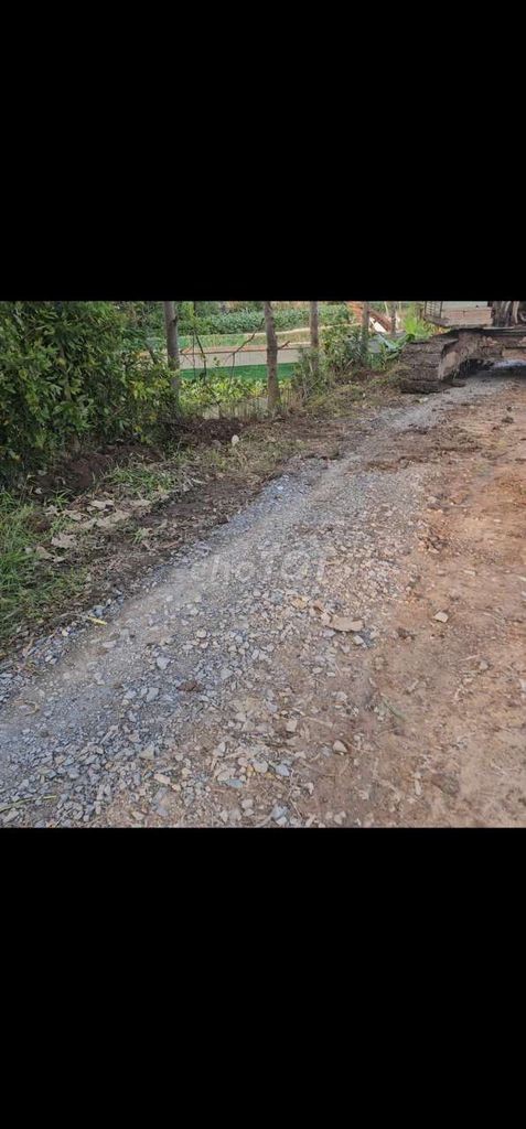 đất vườn có thổ cư - Ảnh 4
