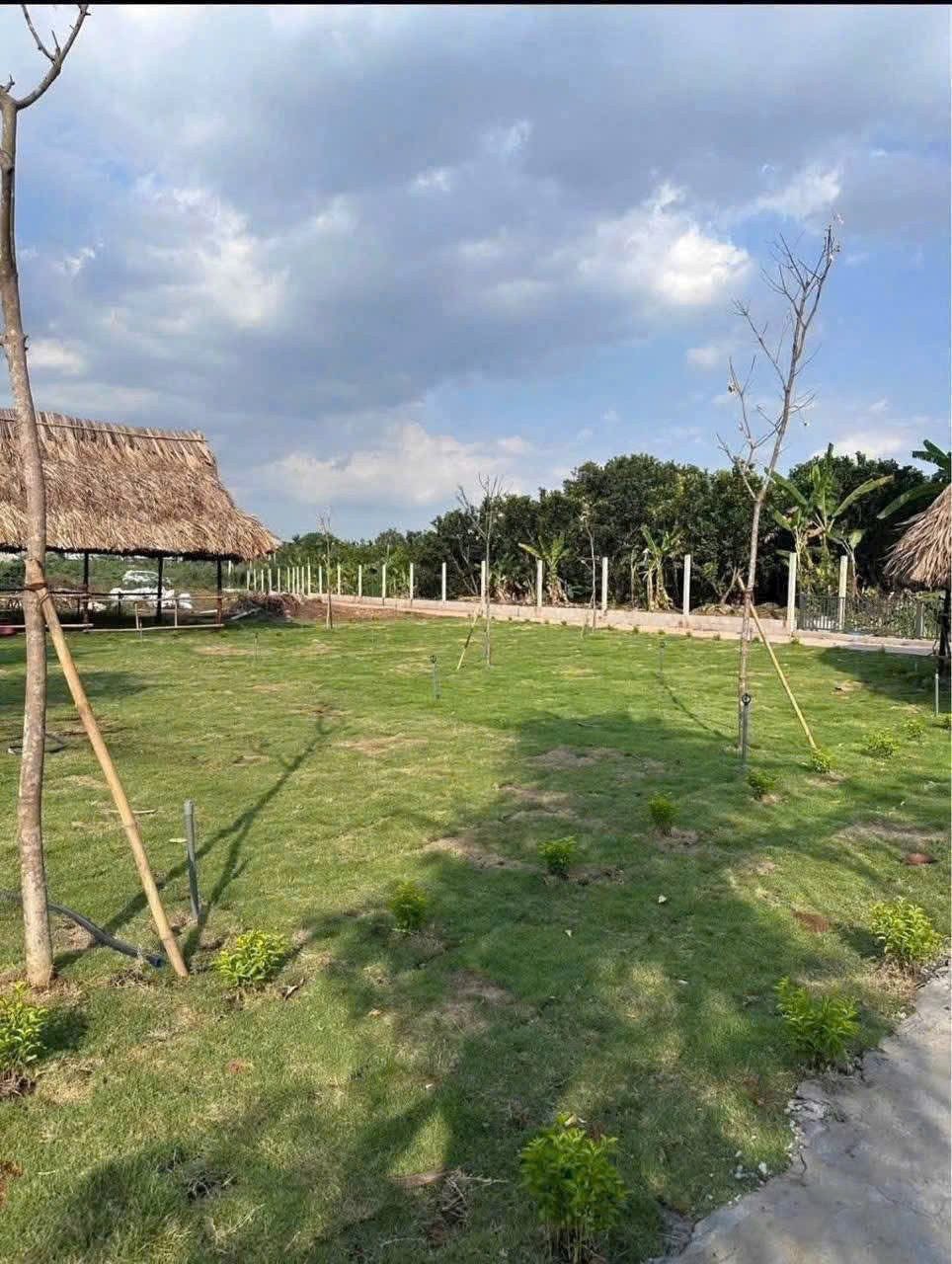 30 lô đất nền ven sông ngay cầu Tân Triều chỉ 1,290 tỷ/nền diện tích 80 - 160m2. có lô Góc 2 mặt tiền💥