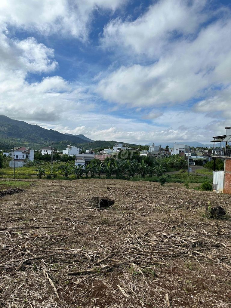 Chính chủ cần bán đất - Ảnh 3