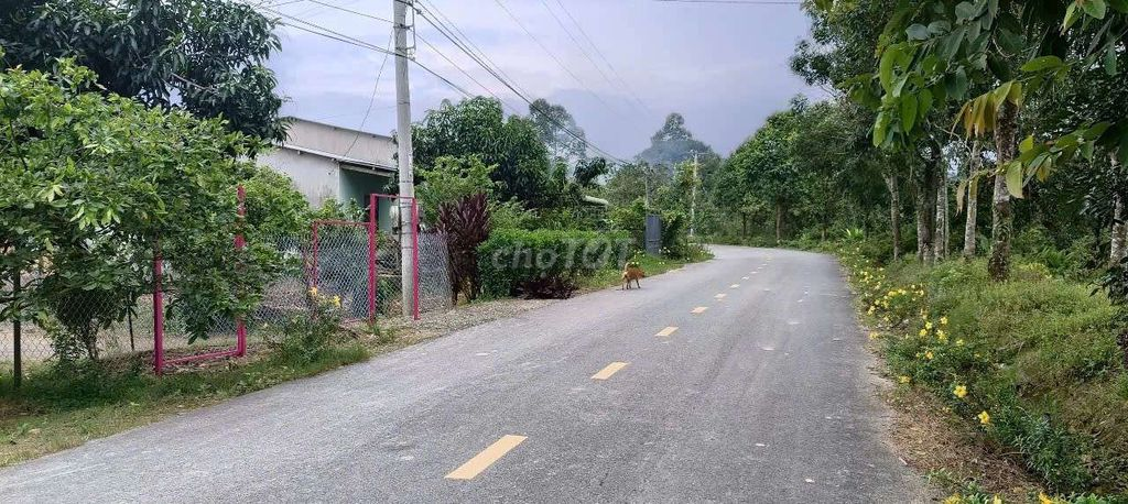 Bán 9932m2 Đất Giáp Suối Lớn - Có Sẵn Thổ Cư - Mặt Tiền Nhựa Lớn