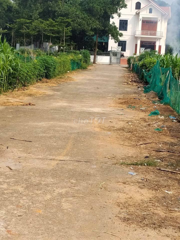 Đất Đẹp 120m², Đường 12m, Vị Trí Băng 4 Tại Đồng Mồng Xung, Thanh Đình - Ảnh 4