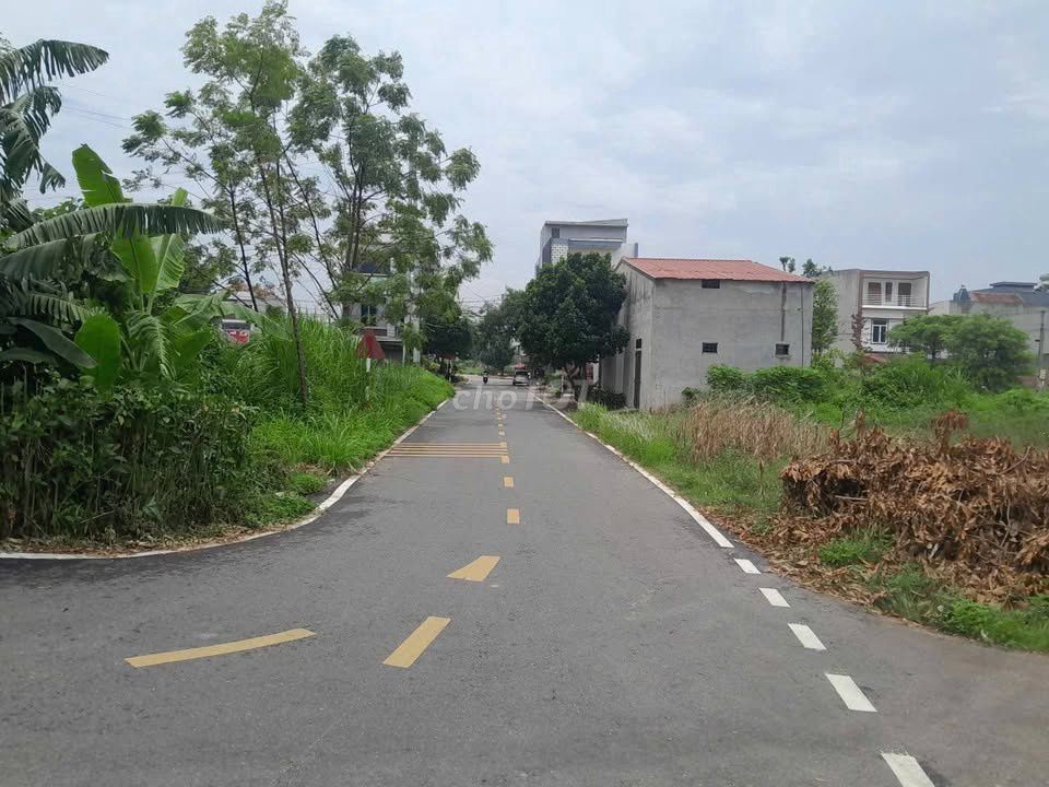 Đất Đẹp 120m², Đường 12m, Vị Trí Băng 4 Tại Đồng Mồng Xung, Thanh Đình - Ảnh 5