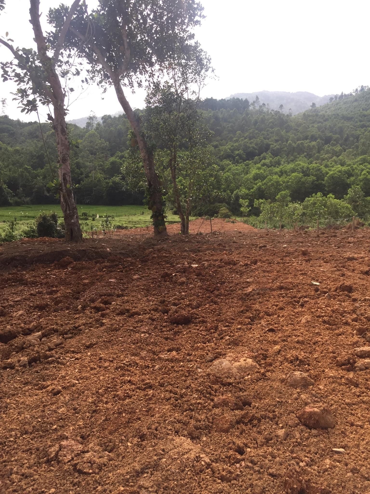 Bán Đất 1800m2 có sẵn 400 m2 thổ cư giá 3.8 tỷ tại Đường Vành Đai Xã Ngọc Thanh Thị xã Phúc Yên Vĩnh Phúc - Ảnh 2