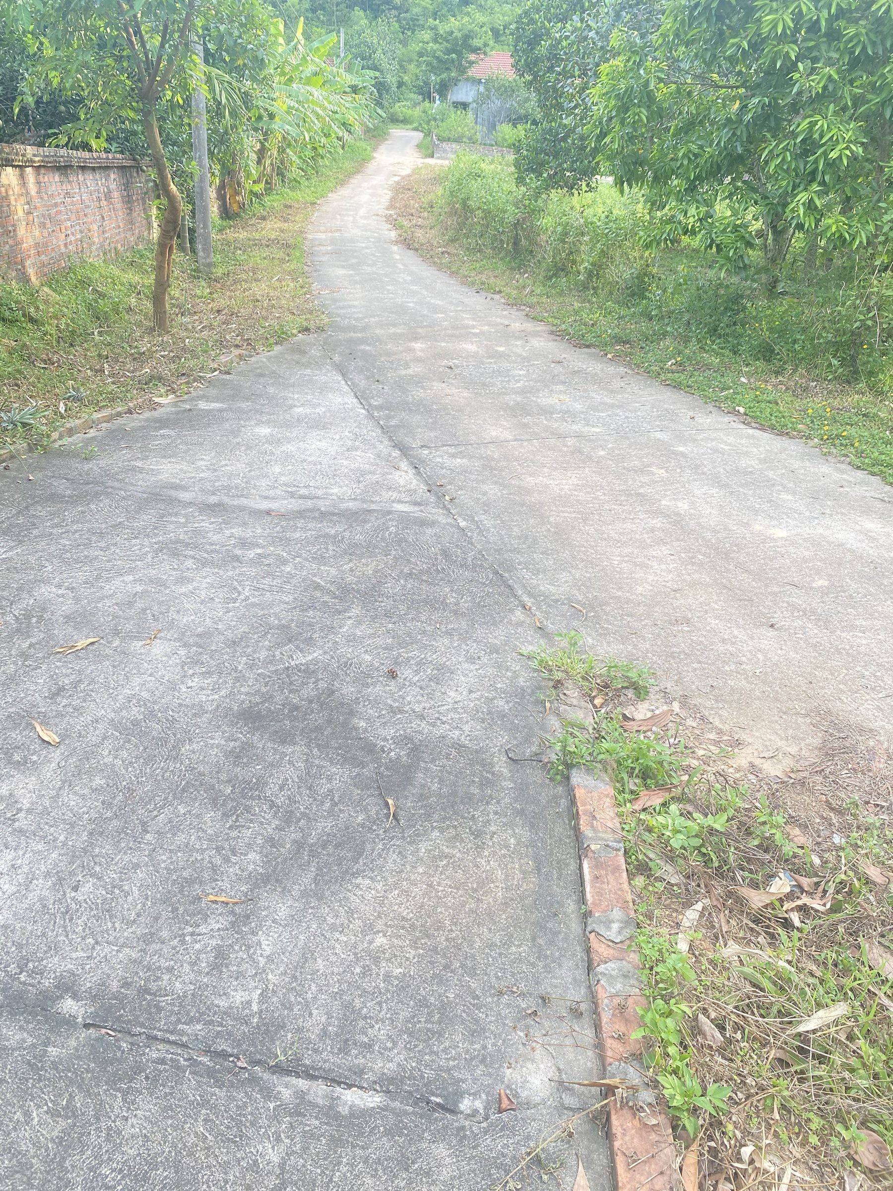 Bán Đất 1800m2 có sẵn 400 m2 thổ cư giá 3.8 tỷ tại Đường Vành Đai Xã Ngọc Thanh Thị xã Phúc Yên Vĩnh Phúc - Ảnh 6
