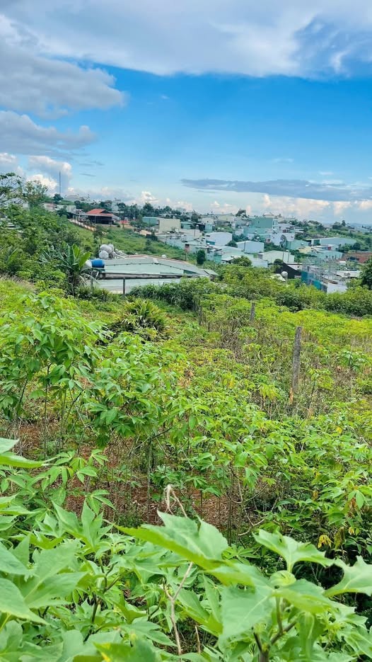 🏡 BÁN ĐẤT HẺM 02 HOÀNG SA – GIÁ CHỈ 630 TRIỆU - Ảnh 1