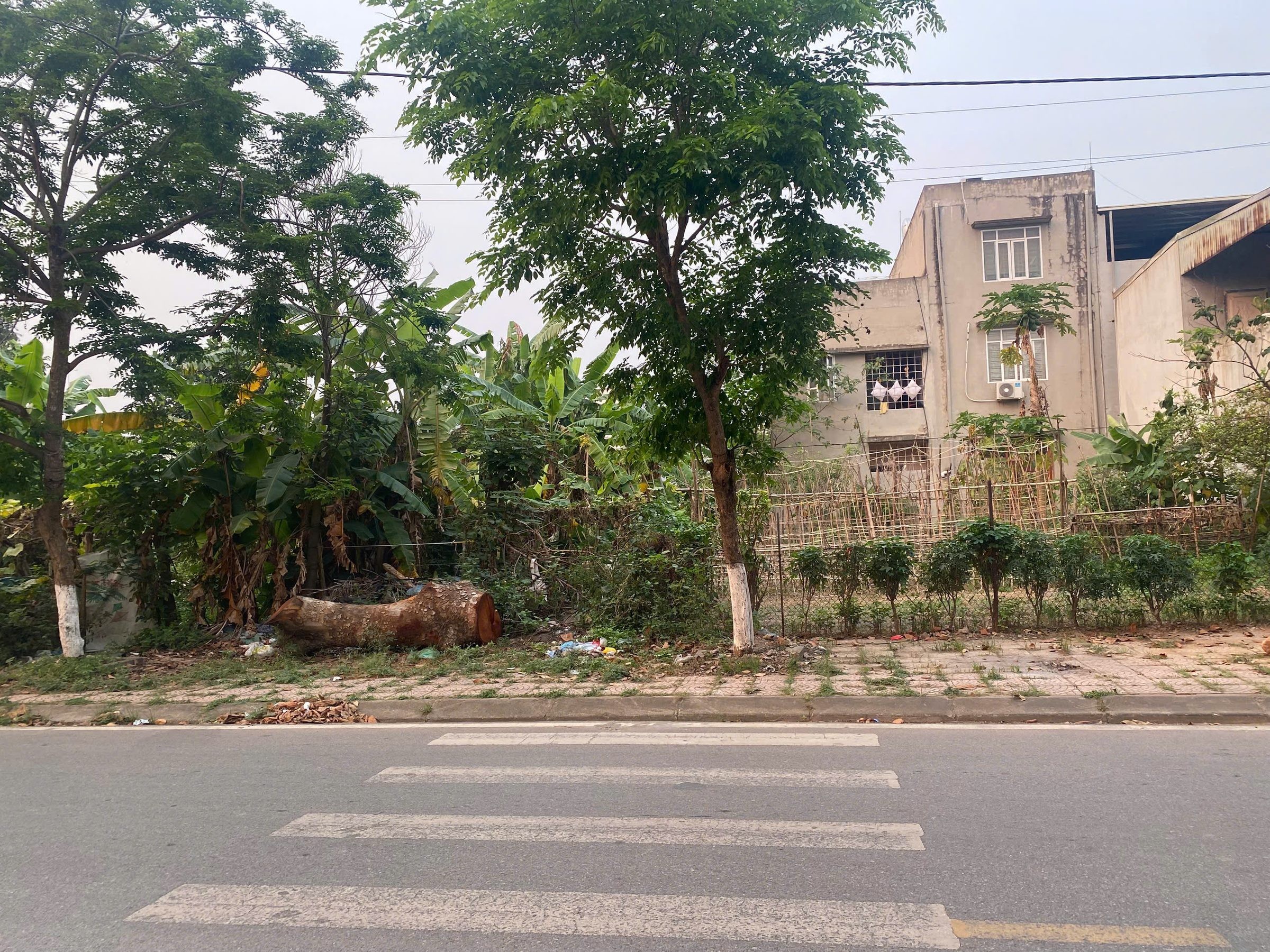 Đất Mặt Đường Phạm Văn Đồng – Sát Đảng Uỷ Phường Xuân Hoà, Phú Thọ – 100m² Full ODT - Ảnh 3