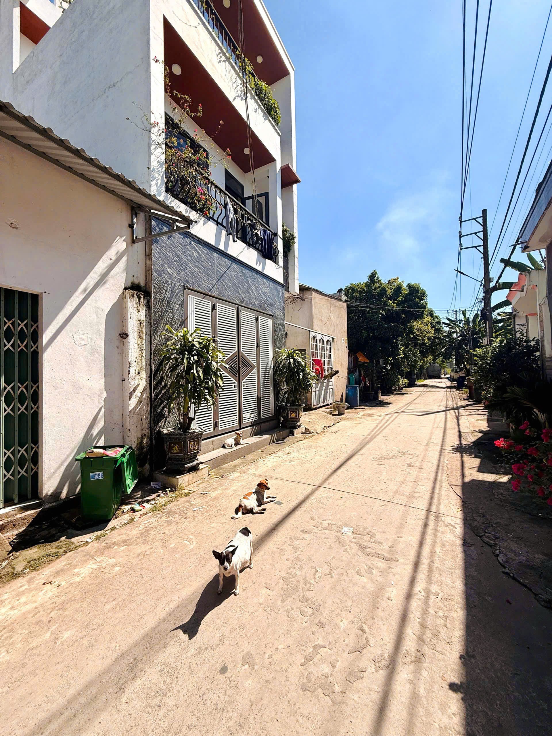 Bán Nhà trọ 140m2 thổ cư giá 2.5 tỷ tại Đường Đồng Khởi Phường Trảng Dài Thành phố Biên Hòa Đồng Nai - Ảnh 4