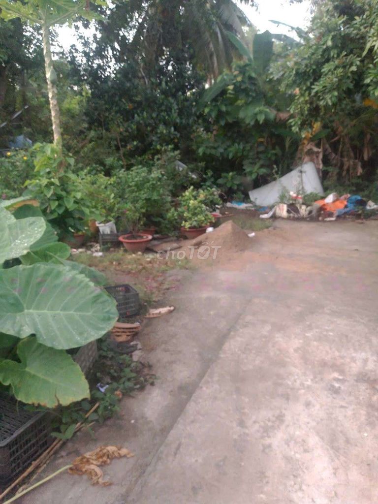 bán đất trong hẻm, sát chợ cua, gần bệnh viện vĩnh long - Ảnh 5
