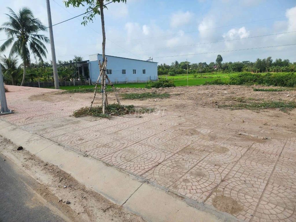 ĐẤT THỔ CƯ MẶT TIỀN ĐƯỜNG D1 LONG HỒ, XÃ LONG HỒ TỈNH VĨNH LONG