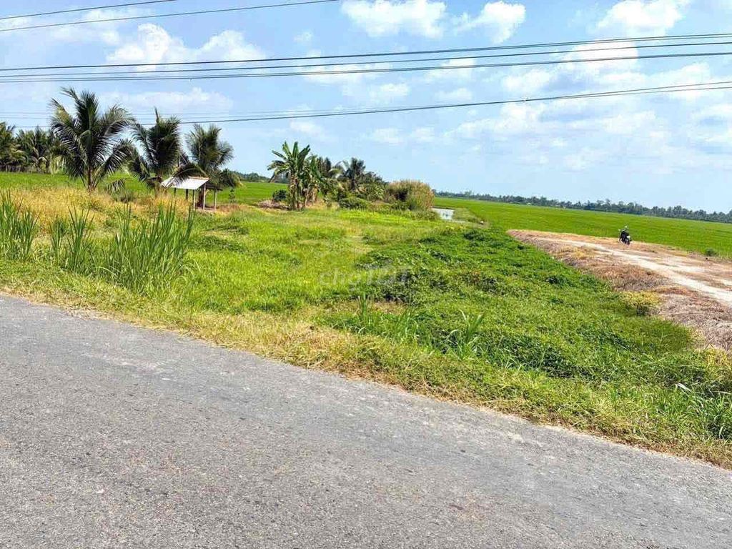 Cần bán Đất mặt tiền đường tỉnh lộ 909. Xã Mỹ Lộc , Tam Bình, tỉnh Vĩ - Ảnh 9