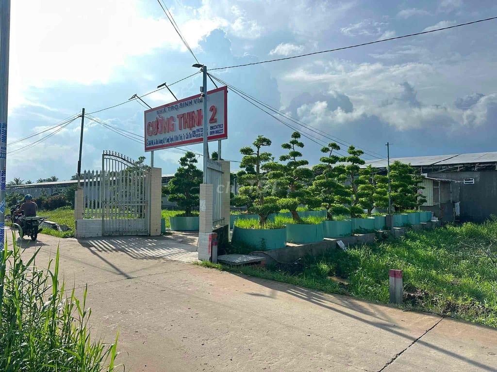 Nền Thổ cư cấp phép xây dựng 4m x 20m cách Lê Phước Thọ 1,5km - Ảnh 4