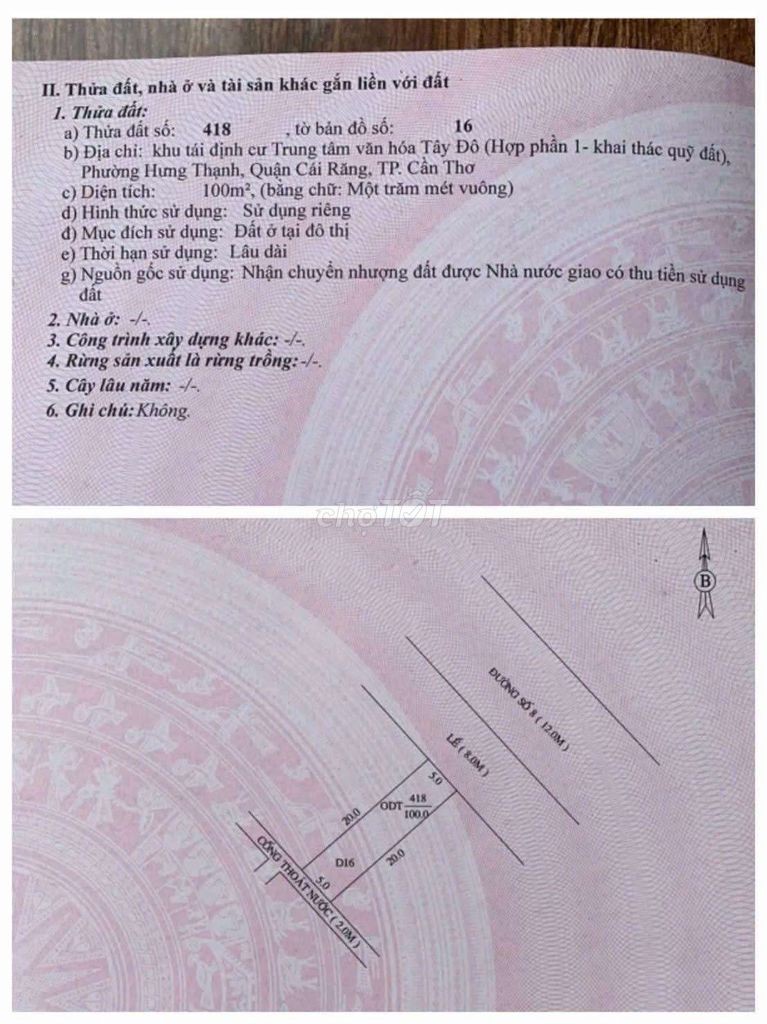 NỀN D16 TTVH TÂY ĐÔ (cc) - Ảnh 2